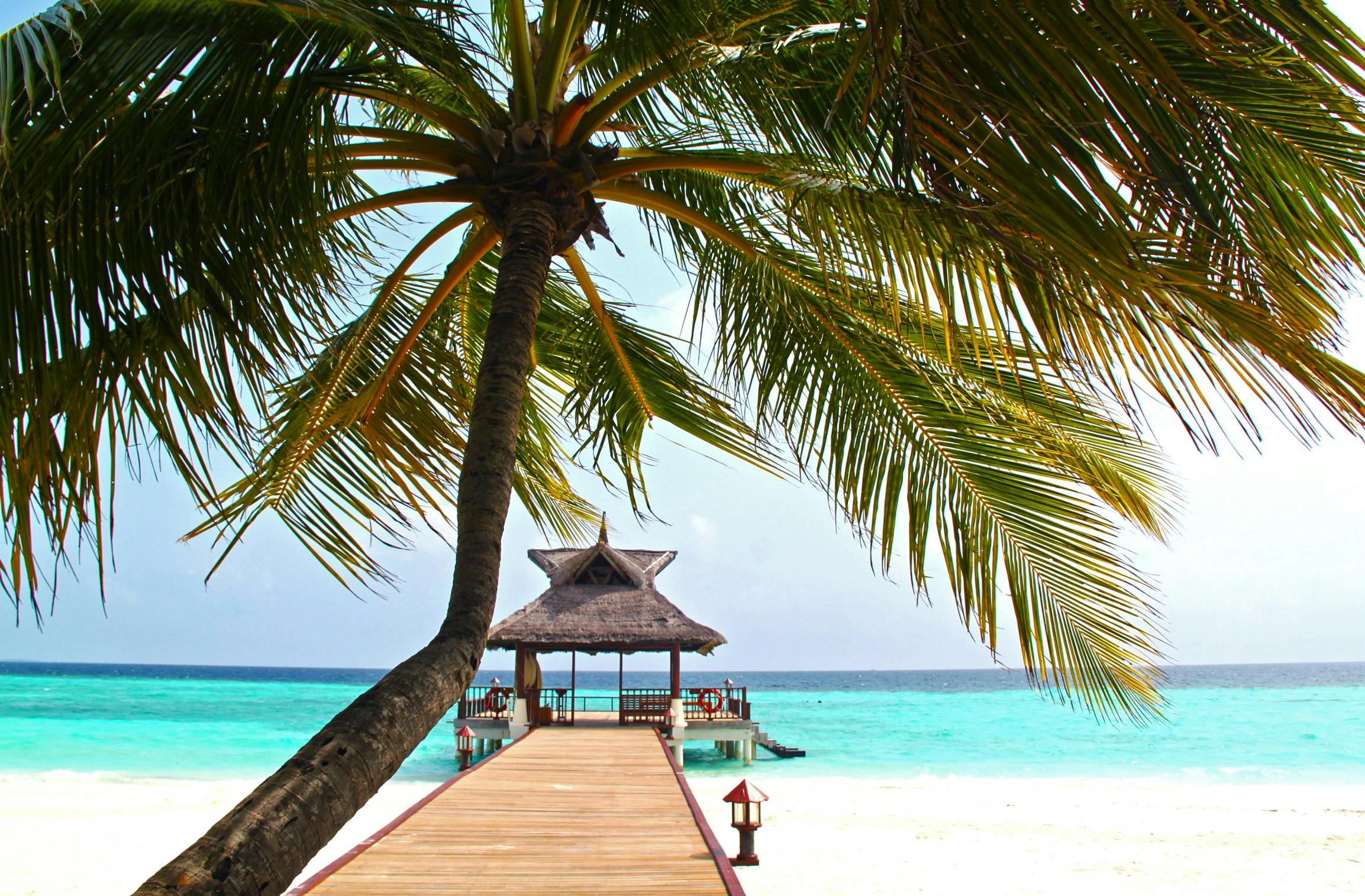 Tropical paradise with palm trees, wooden dock and turquoise water